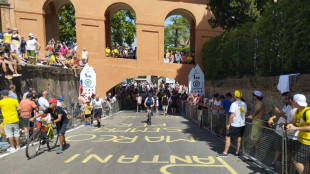 Tour: gran folla dal mattino su San Luca, come uno stadio