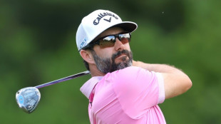Hadwin bounces back to lead at Memorial