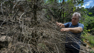 Brazil drought lights a fire under global coffee prices