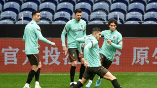 Portugal's path to World Cup blocked by surprise package North Macedonia