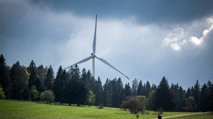 Swiss vote on renewable energy plan for 2050 carbon neutrality