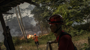 Brasile, record di incendi boschivi in Amazzonia e Cerrado