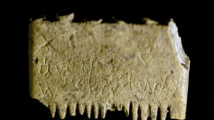 Rare Canaanite inscription found on ivory comb in Israel