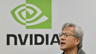 Chip giant Nvidia rides AI wave as profits soar