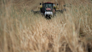 Fundo para agricultura sustentável acumula US$ 13 bilhões