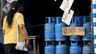 Sri Lanka hikes rates as economy risks collapse