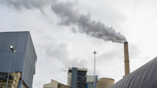 La gouvernement prévoit de relancer la centrale à charbon de Saint-Avold l'hiver prochain