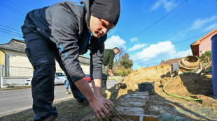 Eco-friendly mud houses make comeback in Hungary