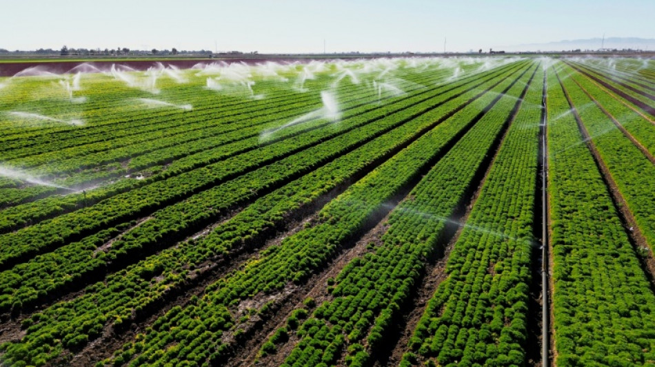 California's desert farmers defend their river rights 