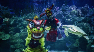 Underwater lion dance at Malaysian aquarium ahead of Lunar New Year