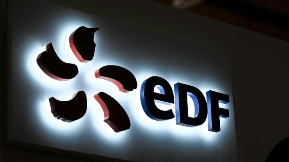France to launch buy-out of power giant EDF