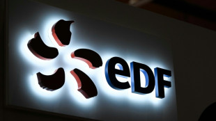 France to launch buy-out of power giant EDF