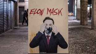 'Elon Mask' nella versione di Evyrein sul muro di Padova