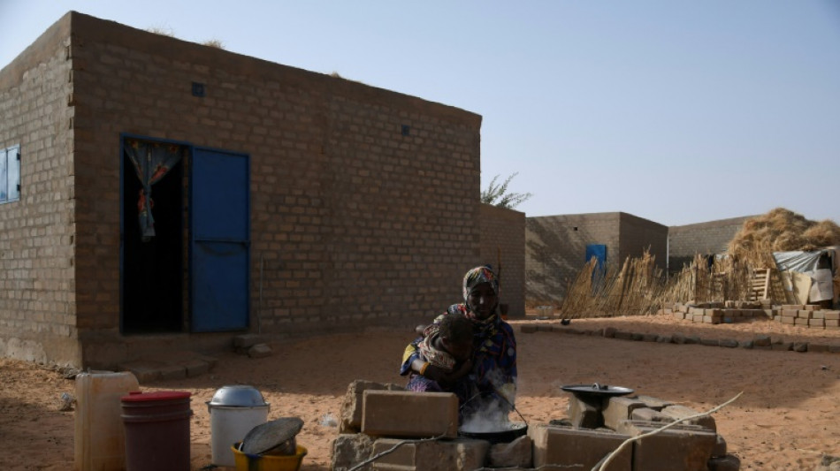 Baerbock führt politische Gespräche in Republik Niger