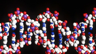 Così le cellule reprimono i resti di antichi virus nel Dna