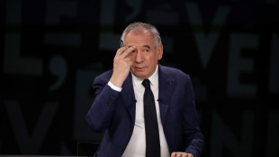 Deux anciens Premiers ministres, retour de Darmanin et peu d'ouverture à gauche: le gouvernement Bayrou est avancé