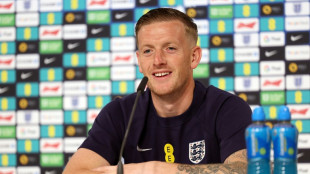 Euro 2024 pressure is a privilege for England, says Pickford