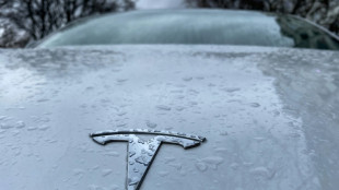 Tesla beginnt am Dienstag mit der Auslieferung in Grünheide 