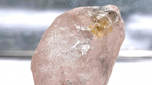 Miners unearth pink diamond believed to be largest seen in 300 years