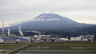 Troppi turisti per una foto, barriera bloccherà vista Monte Fuji