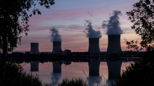 EU nations quarrel over whether nuclear, gas are 'green'