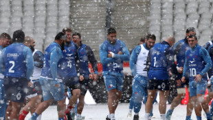 Rugby: le XV de France contre l'Argentine pour finir 2024 sur une bonne note 