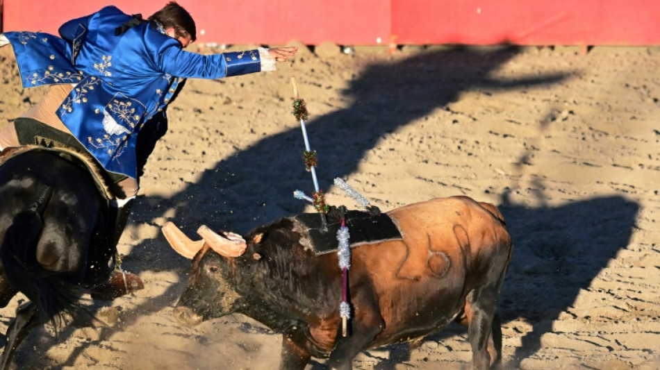 Au coeur de la Californie, la communauté portugaise fait vivre la corrida, sans effusion de sang