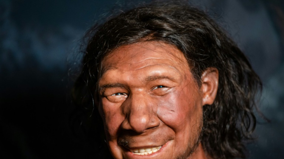 Los neandertales no se mezclaban y quizás eso explica su desaparición