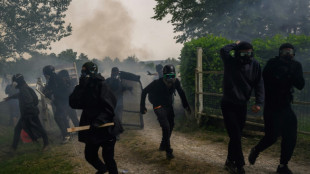 Five hurt as police, activists, clash at French motorway protest
