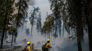 US firefighters race to protect Yosemite's giant sequoias