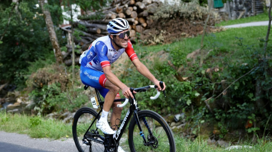 Tour de France: la journée de Pinot lui "donne des idées pour la suite"