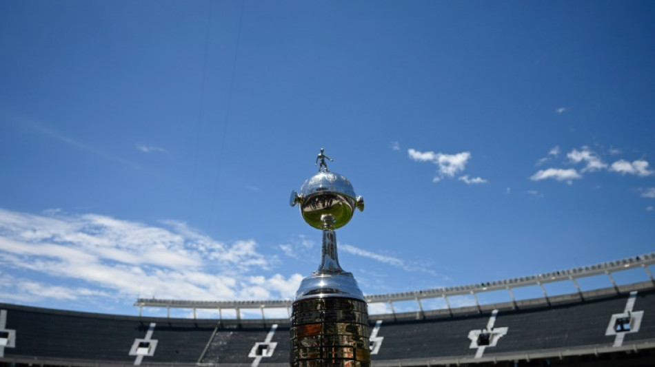 Copa Libertadores: finale 100% brésilienne entre Botafogo et l'Atlético Mineiro