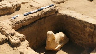 Smiley, dimpled sphinx statue unearthed in Egypt