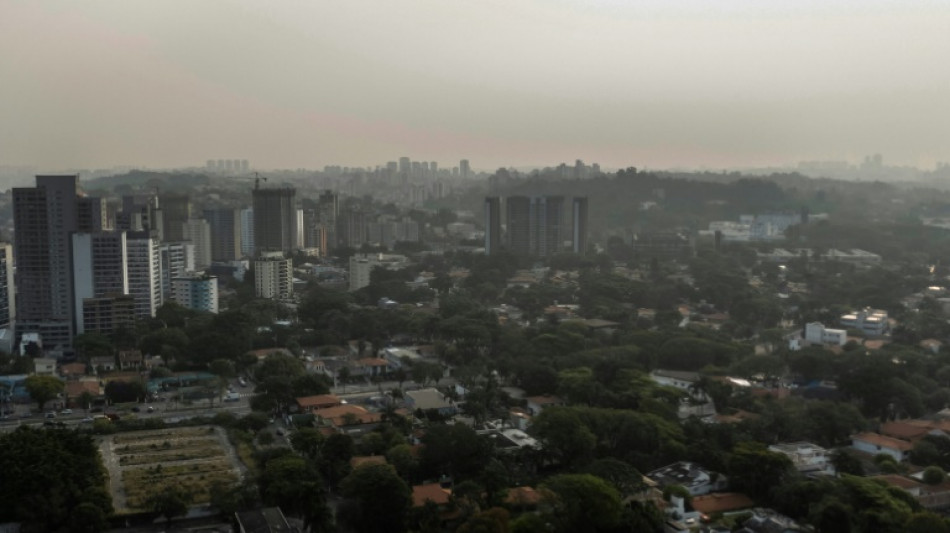 El humo de fuegos en la Amazonía alcanza grandes ciudades de Brasil y se expande por el continente