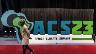 Africa climate summit to urge investment in continent