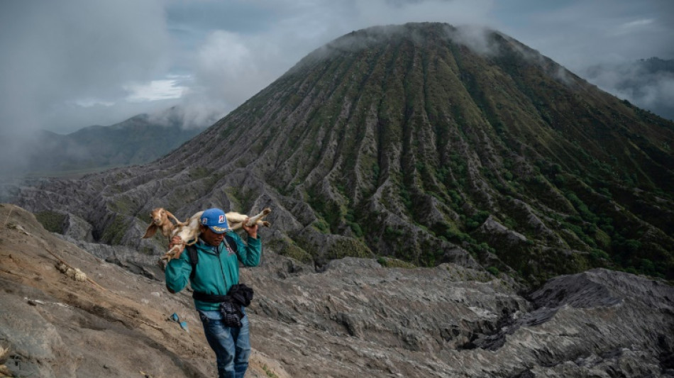 Thousands flock to Indonesian volcano for Hindu ritual sacrifice