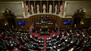 Immobilier, environnement: le Sénat continue d'imprimer sa marque sur le budget de l'État