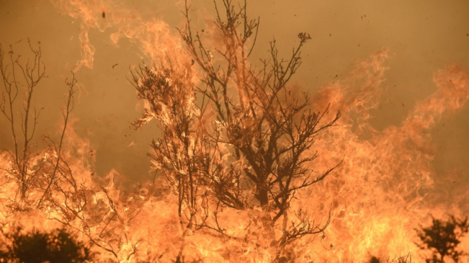 Dos incendios en un mes: la provincia española de Zamora revive la pesadilla del fuego