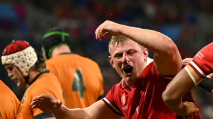 Wales must overcome 'fear factor' against Springboks, says Gatland