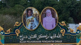 Brunei's polo-playing prince marries commoner