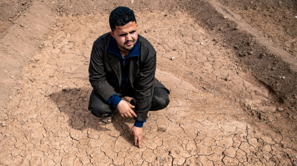 Mosque-goers pray for rain in drought-scorched Morocco