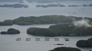 Comment les "Galapagos du Nord" sont devenus la plus grande aire protégée du Canada