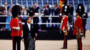 King Charles hails ties as Japan royals make UK state visit