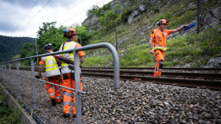 Prolifération de la végétation et précipitations abondantes: la SNCF mise au défi d'adapter son réseau