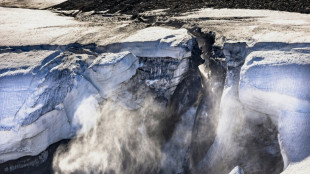 Reversing warming may stop Greenland ice sheet collapse: study