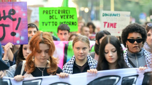 Thunberg leads pro-Palestinian, climate protest in Milan