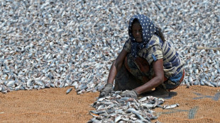 WTO negotiators finalise key texts on fishing, Covid jabs