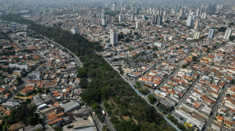 'Crazy' tree planter greening Sao Paulo concrete jungle