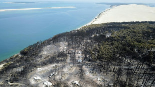 En Gironde, le feu enfin "fixé" à La Teste-de-Buch mais pas à Landiras