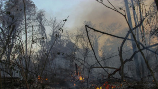 Incêndios não dão trégua no país